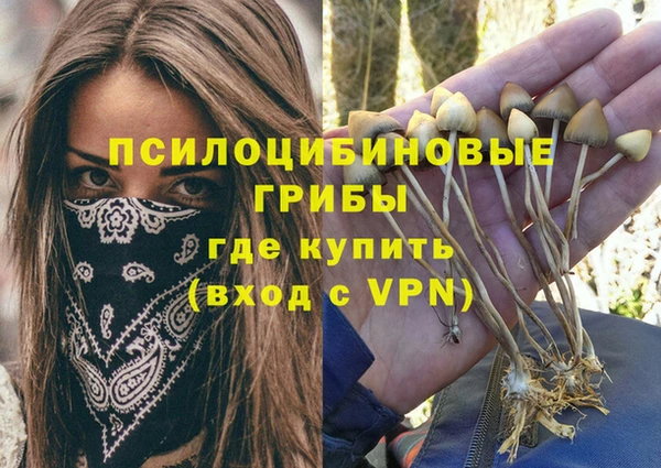 ECSTASY Богородск