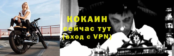 PSILOCYBIN Богородицк