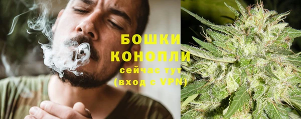 ECSTASY Богородск