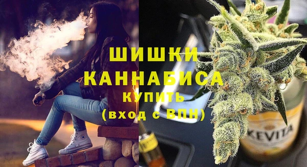 PSILOCYBIN Богородицк