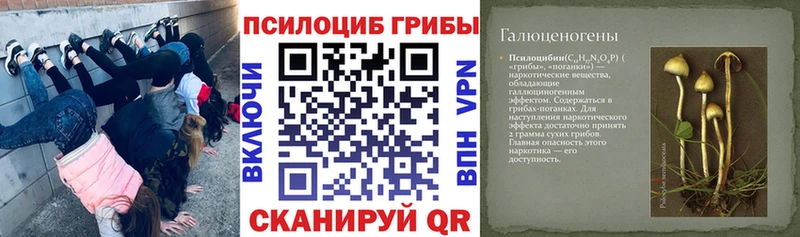 Псилоцибиновые грибы ЛСД  Велиж 